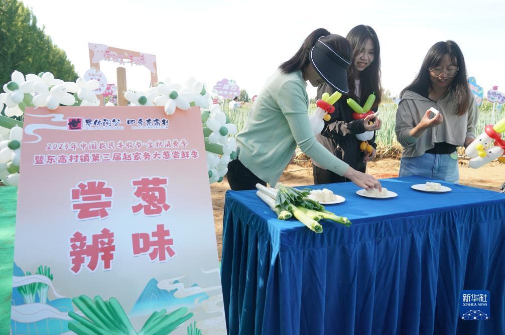 苹果x怎么玩不了pt游戏